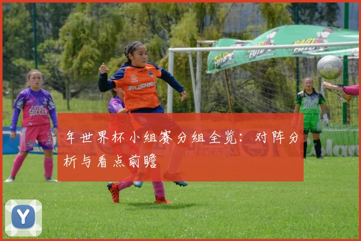 年世界杯小组赛分组全览：对阵分析与看点前瞻