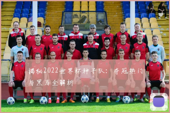 揭秘2022世界杯种子队：夺冠热门与黑马全解析
