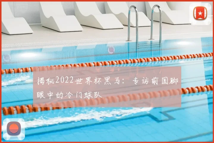 揭秘2022世界杯黑马：专访前国脚眼中的冷门球队