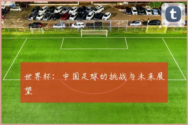 世界杯:中国足球的挑战与未来展望