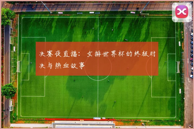 决赛夜直播：女排世界杯的终极对决与热血故事
