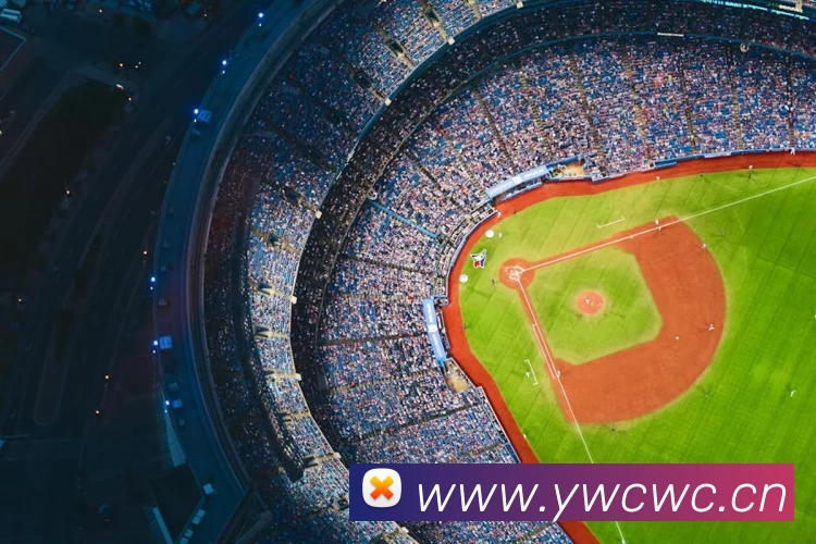 多媒体互动体验